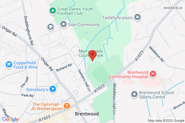 Council For Voluntary Service