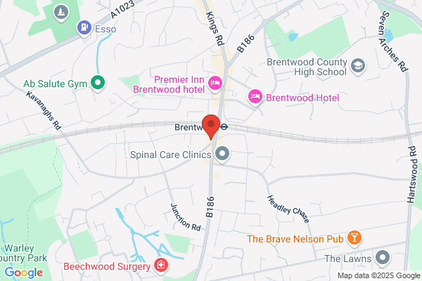 The New World