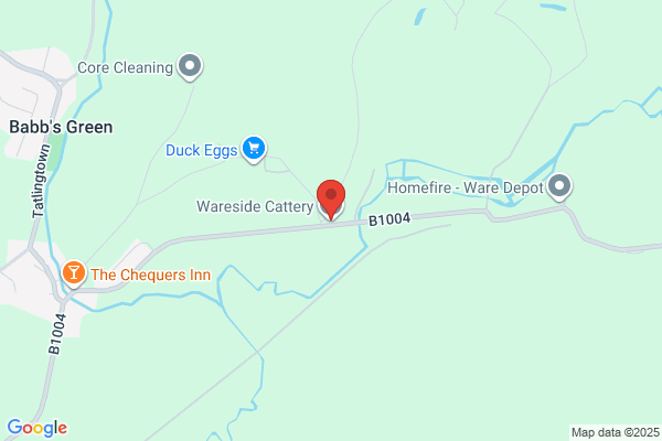 Waterdell Cattery