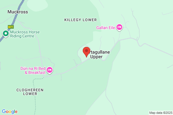 D O'Sullivan
