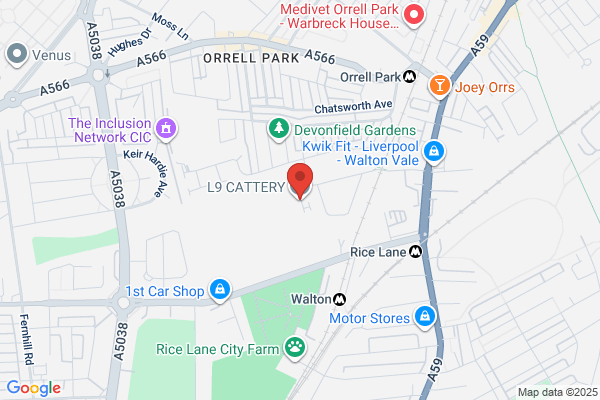 Liverpool Cattery