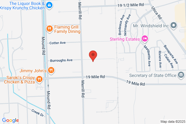 Diagnostic Instruments Ltd