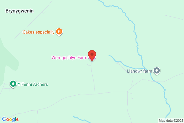 Werngochlyn Equestrian Services Ltd