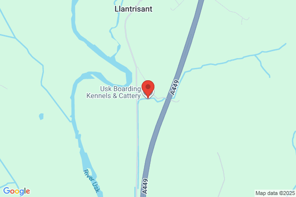 Raglan Boarding Kennels