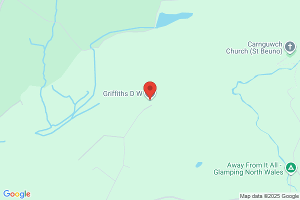 W J Griffiths