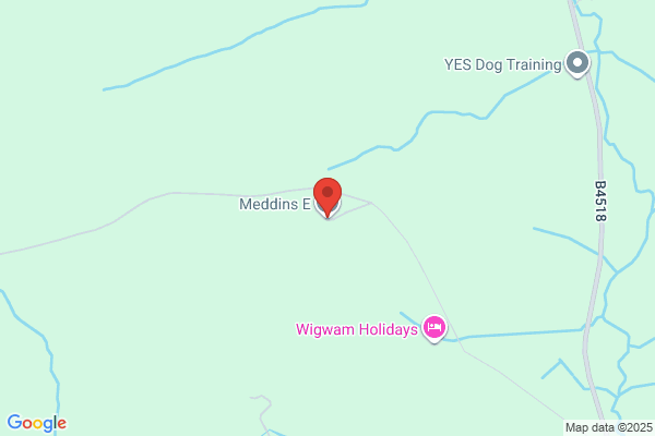 D Meddins