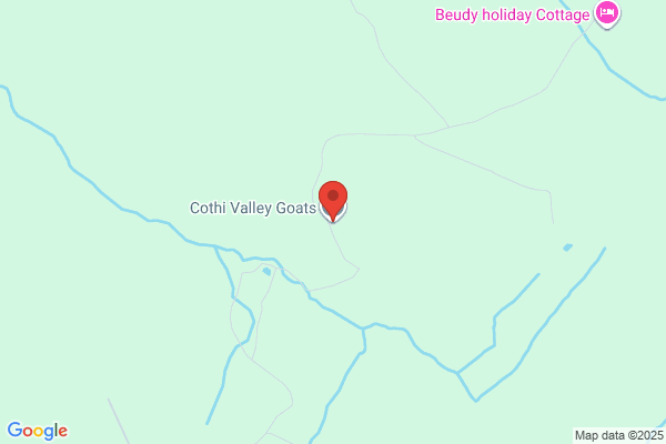 Cothi Valley Goats
