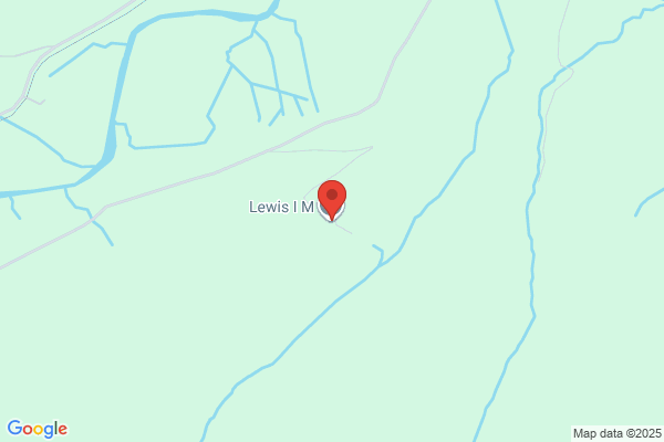 I M Lewis