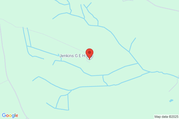 D H Jenkins
