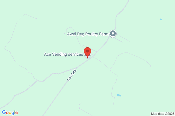 Ace Leisure Services