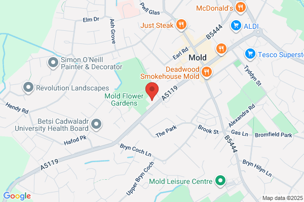 Mold Motor Services