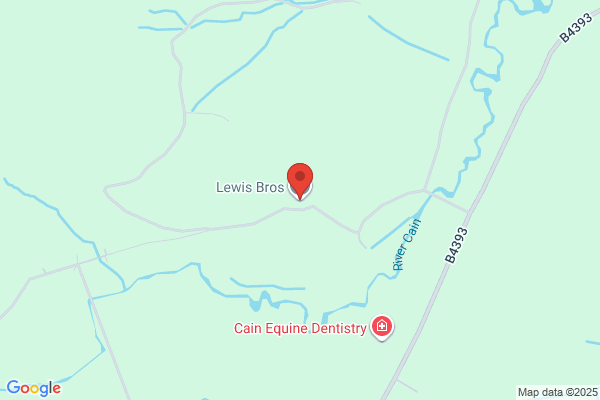 Lewis Bros