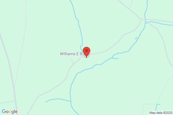 T G Williams