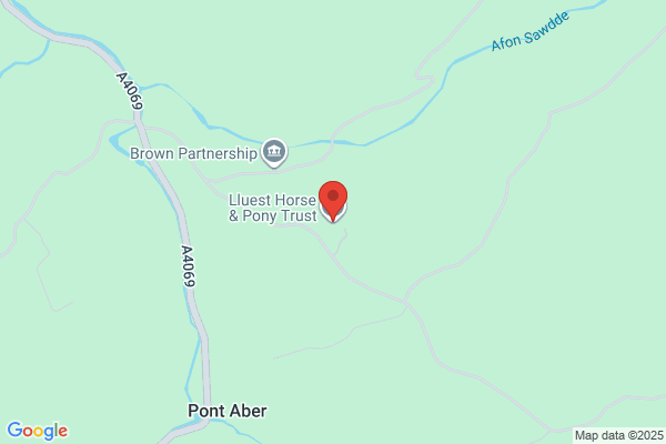 Lluest Horse & Pony Trust