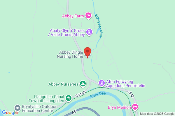 Abbey Dingle Nursing Home Ltd