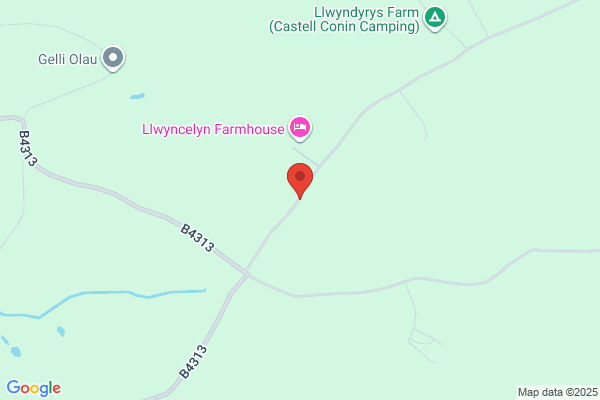 Bryn Celyn