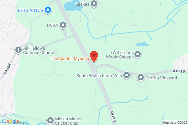Castell Mynach Inn