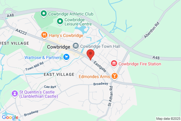 Y Draenog