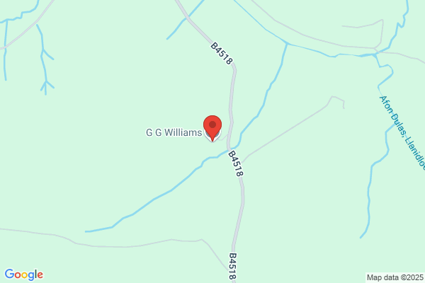 G G Williams