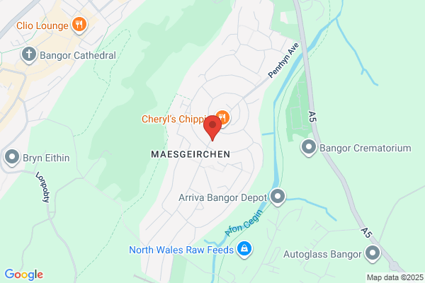 Maesgeirchen Social Club