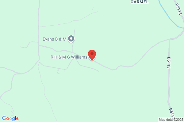 R H Williams