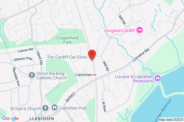 The Cardiff Cat Clinic