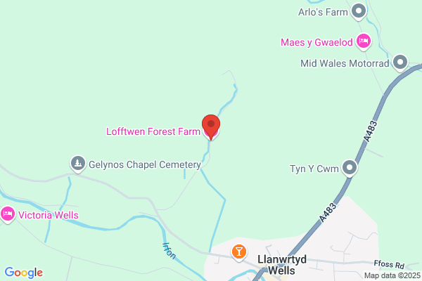 Irfon Valley Lamb