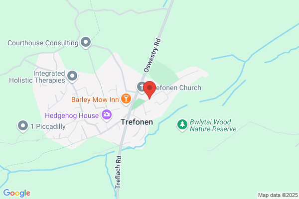 Explorers at Trefonen