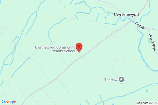 Cwrtnewydd Community Primary School