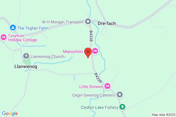 Maesyfelin Care Home