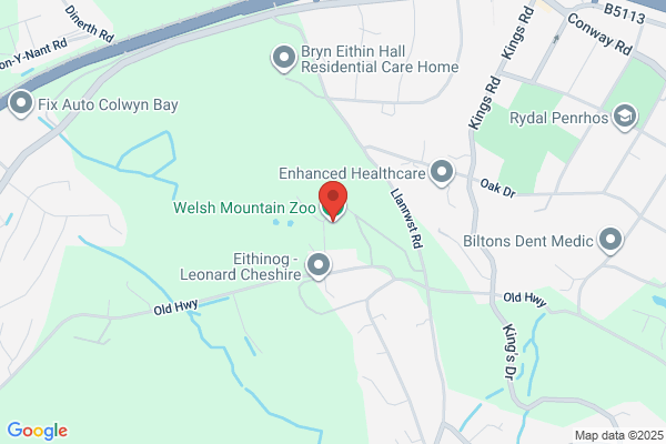 Welsh Mountain Zoo