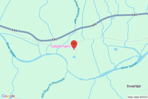 Tulloch Consultancy