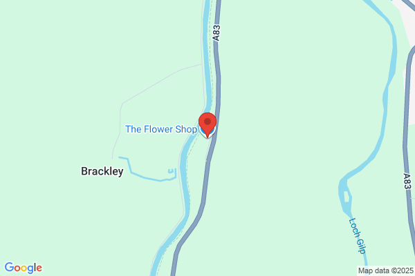 The Flower Shop