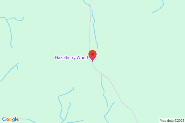 Hazels