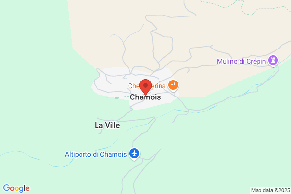 Chamois