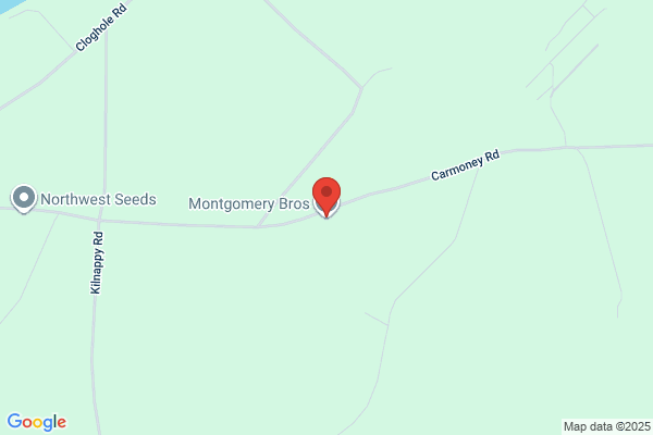 T Montgomery & Sons
