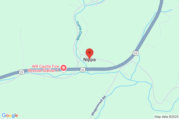 Nippa