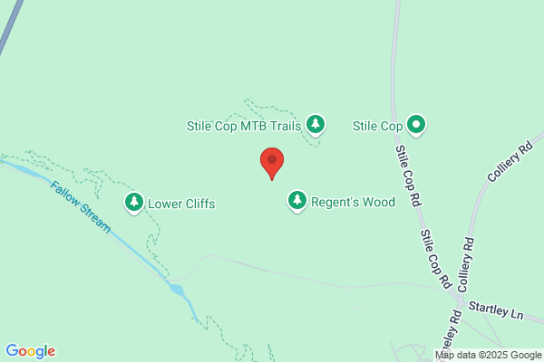 Regent Woods