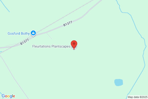 Fleurtations