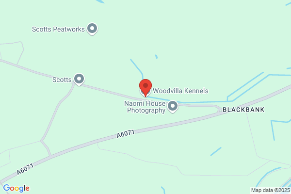 Woodvilla Kennels Daycare & Boarding