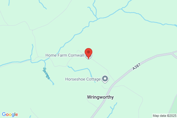 H Honey & Son