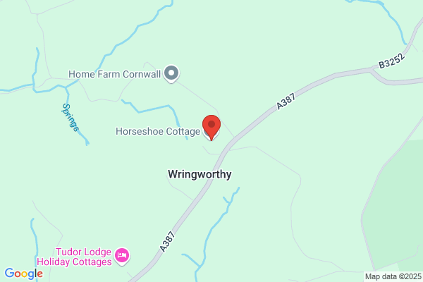 Wringworthy Holiday's