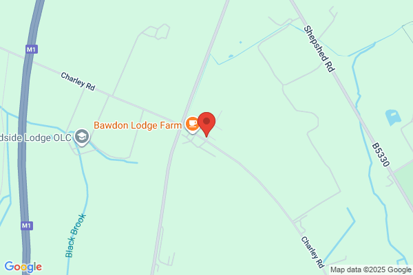 Ridgefield Holsteins
