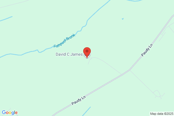 David C James