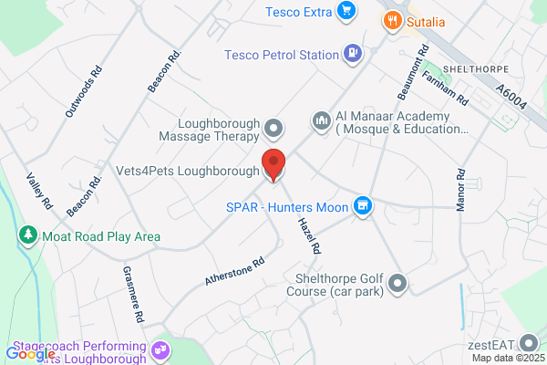 Vets4Pets Loughborough