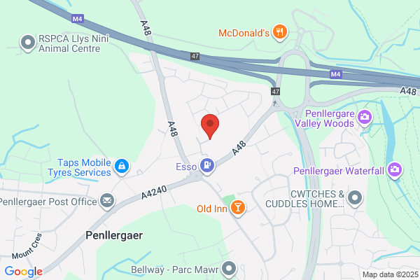 Penllergaer County Primary School