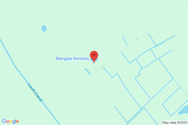 Biergate Boarding Kennels & Cattery