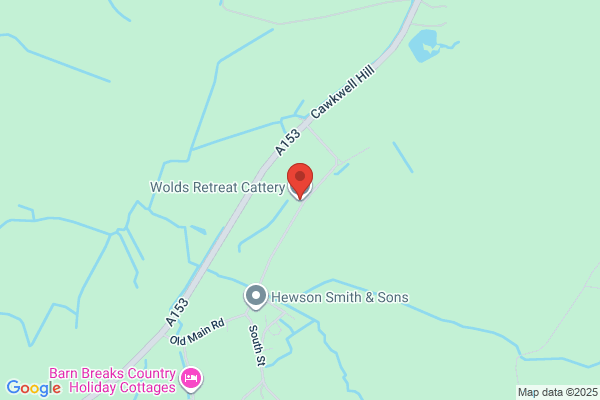 Howdales Cattery