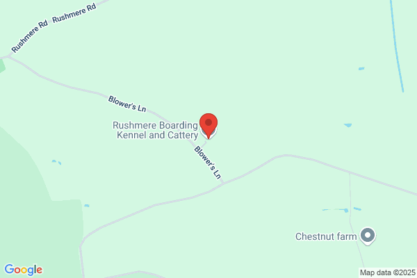Colville Road Cattery