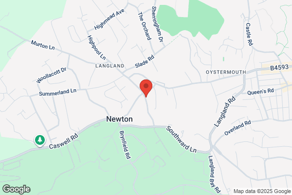 Newton News